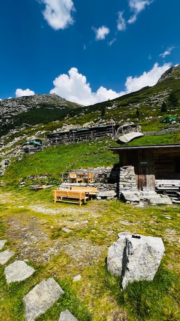 Hohenau Alm mit Hütte, in der bestellt und bezahlt wird