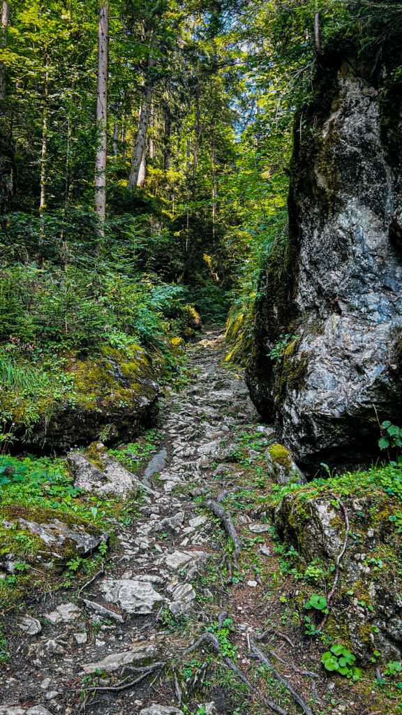 Steinige Stufen im Aufstieg zum Keilkellerwasserfall