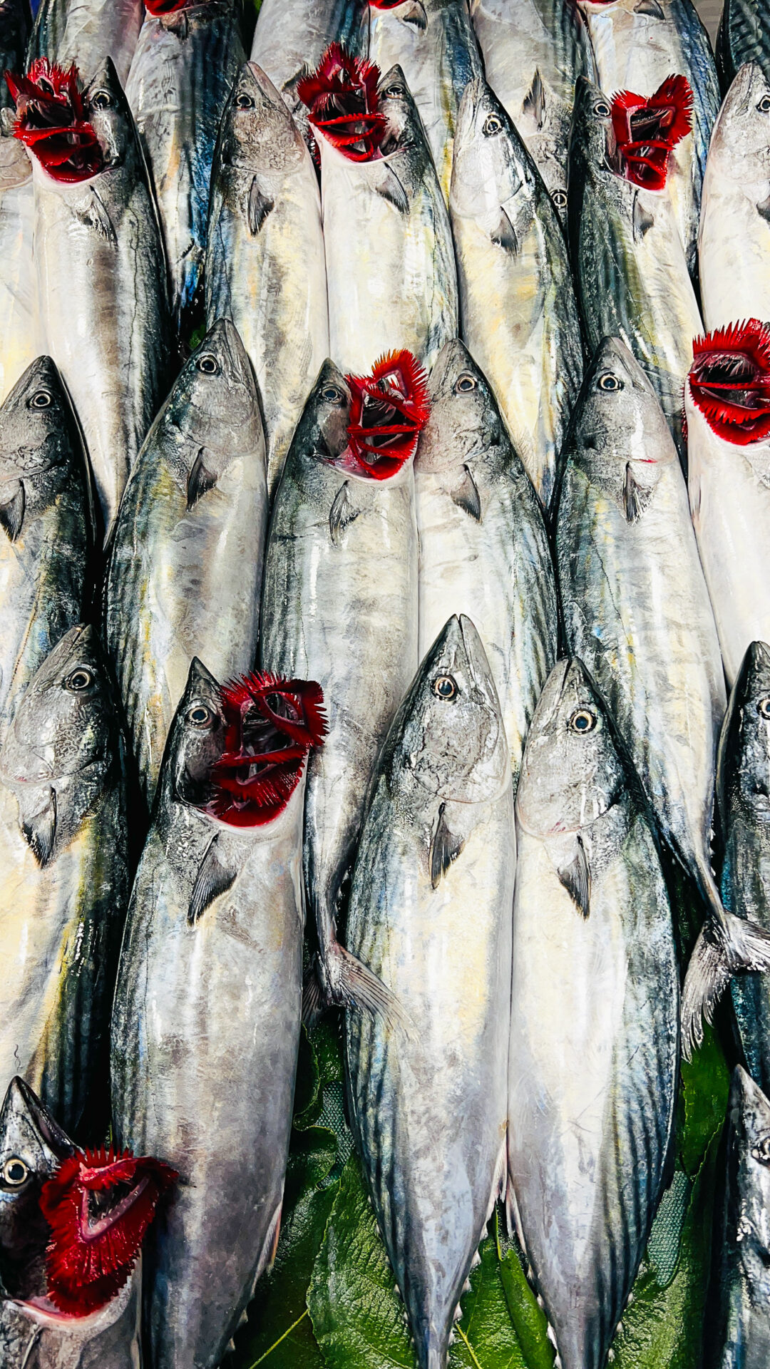 Fisch in Kadıköy