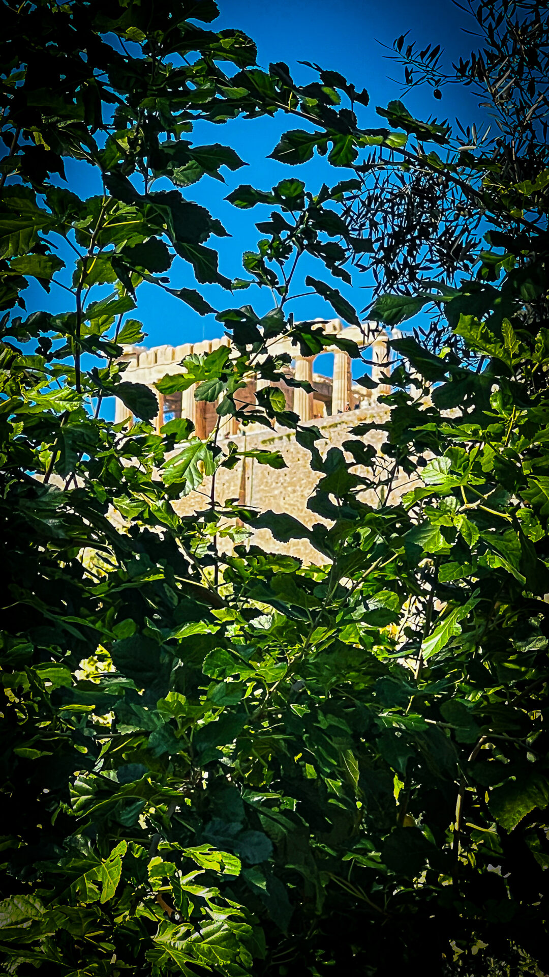 Die Akropolis, von unten
